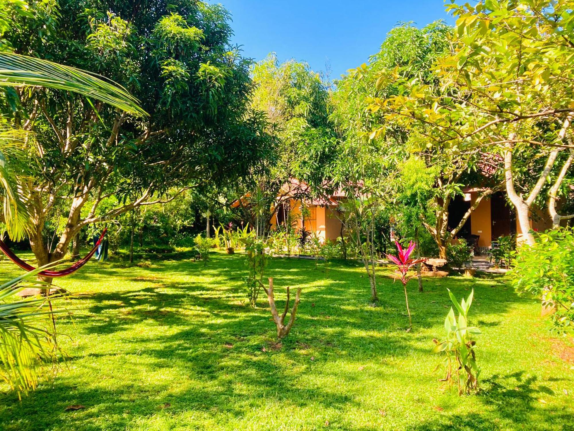 Suncity Privacy Cottages Udawalawe Exterior foto